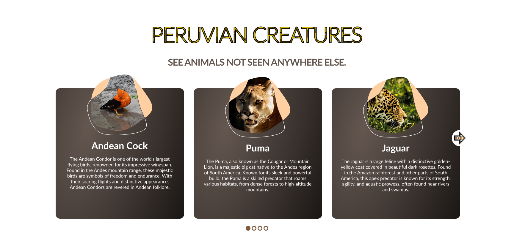 Llama Peruviana UI 1