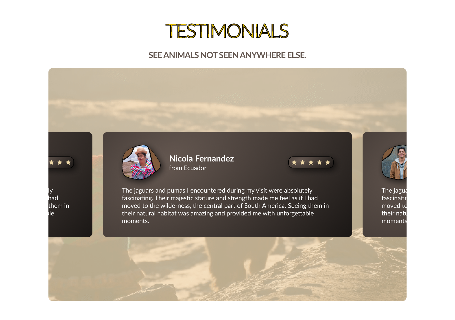 Llama Peruviana UI 3