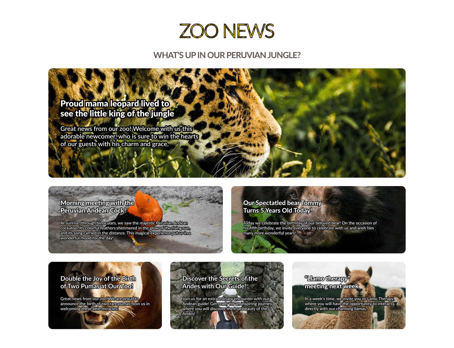 Llama Peruviana UI 2